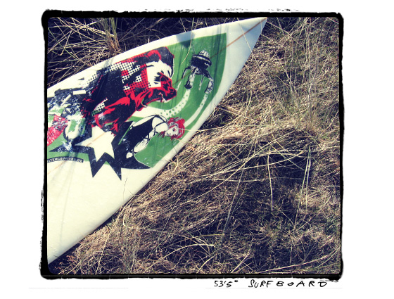 Surfboard